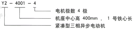 YR系列(H355-1000)高压Y5006-12/280KW三相异步电机西安西玛电机型号说明